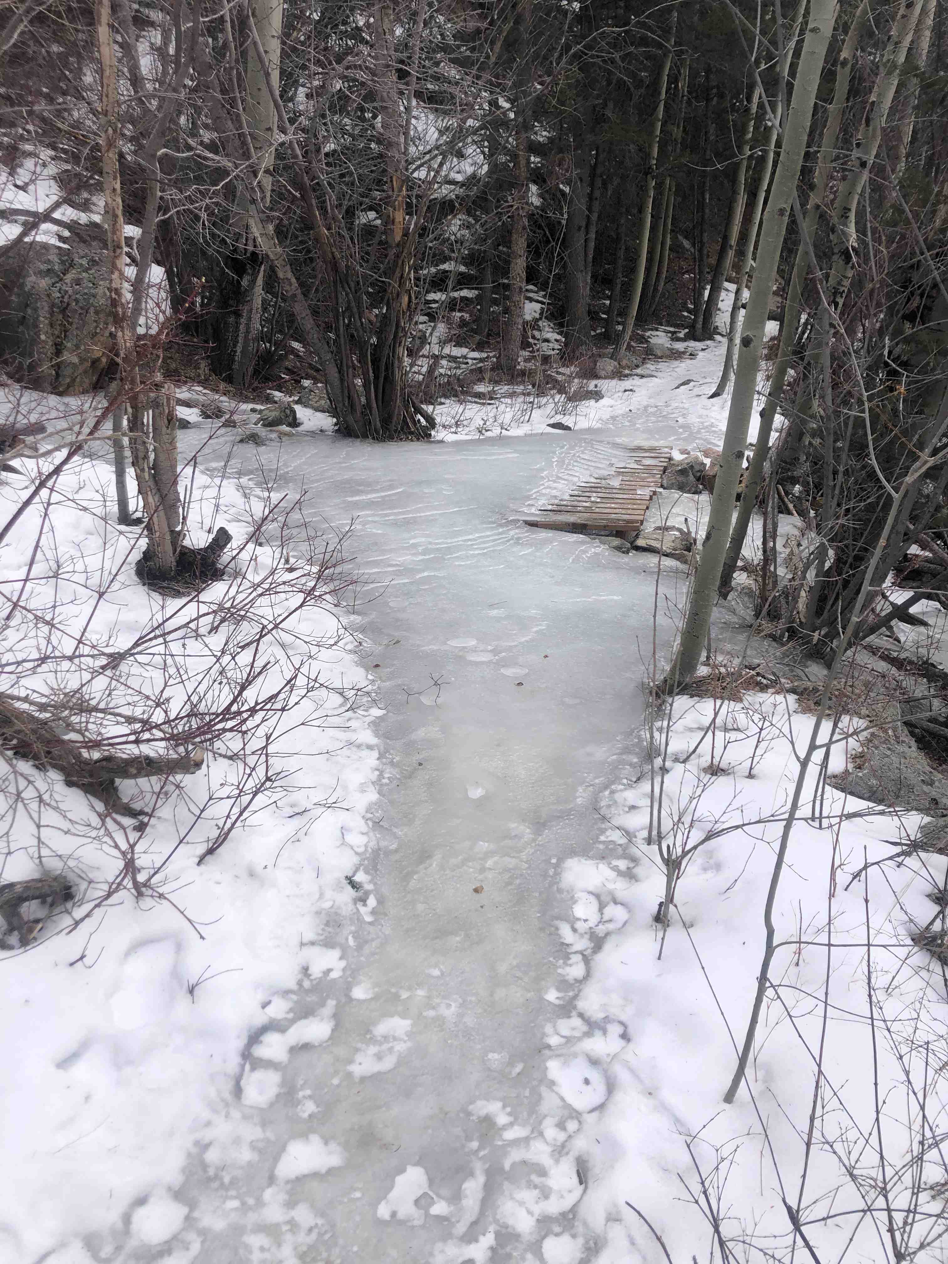 Silvercreek-Ice-Bridge